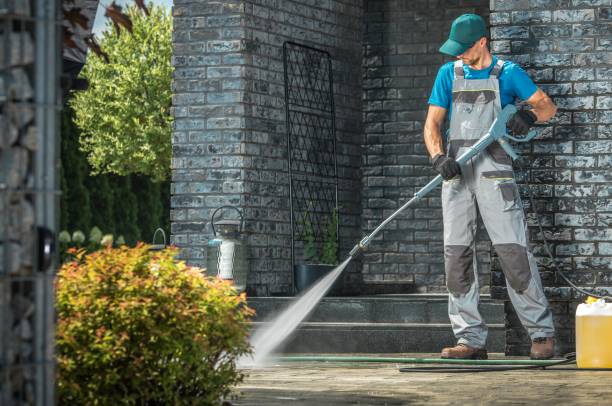 Best Soft Washing  in St Joseph, IL