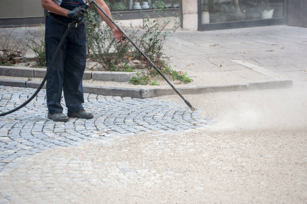Best Parking Lot and Garage Cleaning  in St Joseph, IL